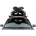 Бокс THULE Dynamic M (800) светло-серый глянцевый 612801 [612801]